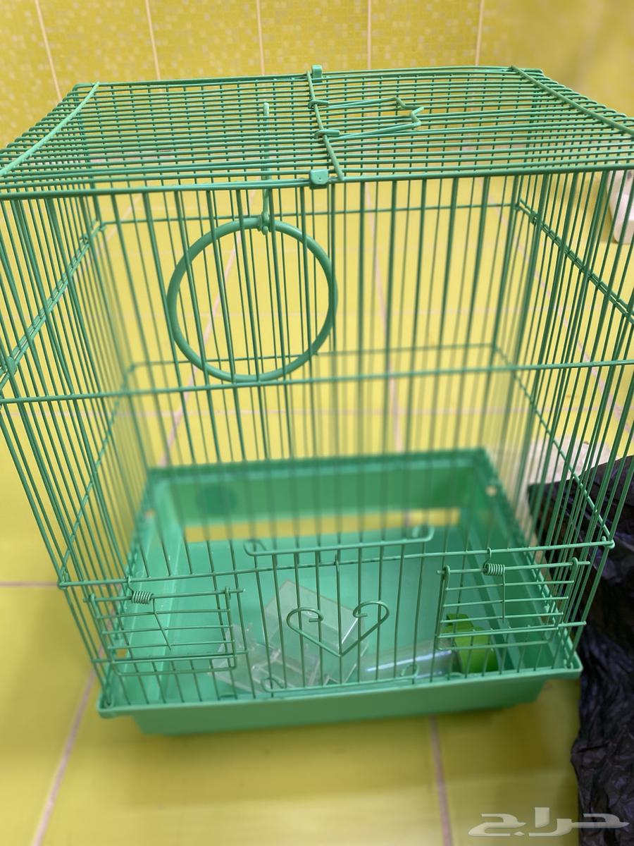A clean bird cage with all its accessories63009403504002112