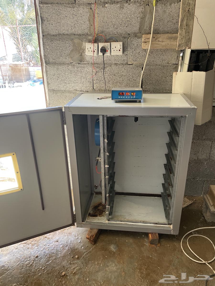 Egg incubator 500 pieces with the help of God63176886711809111