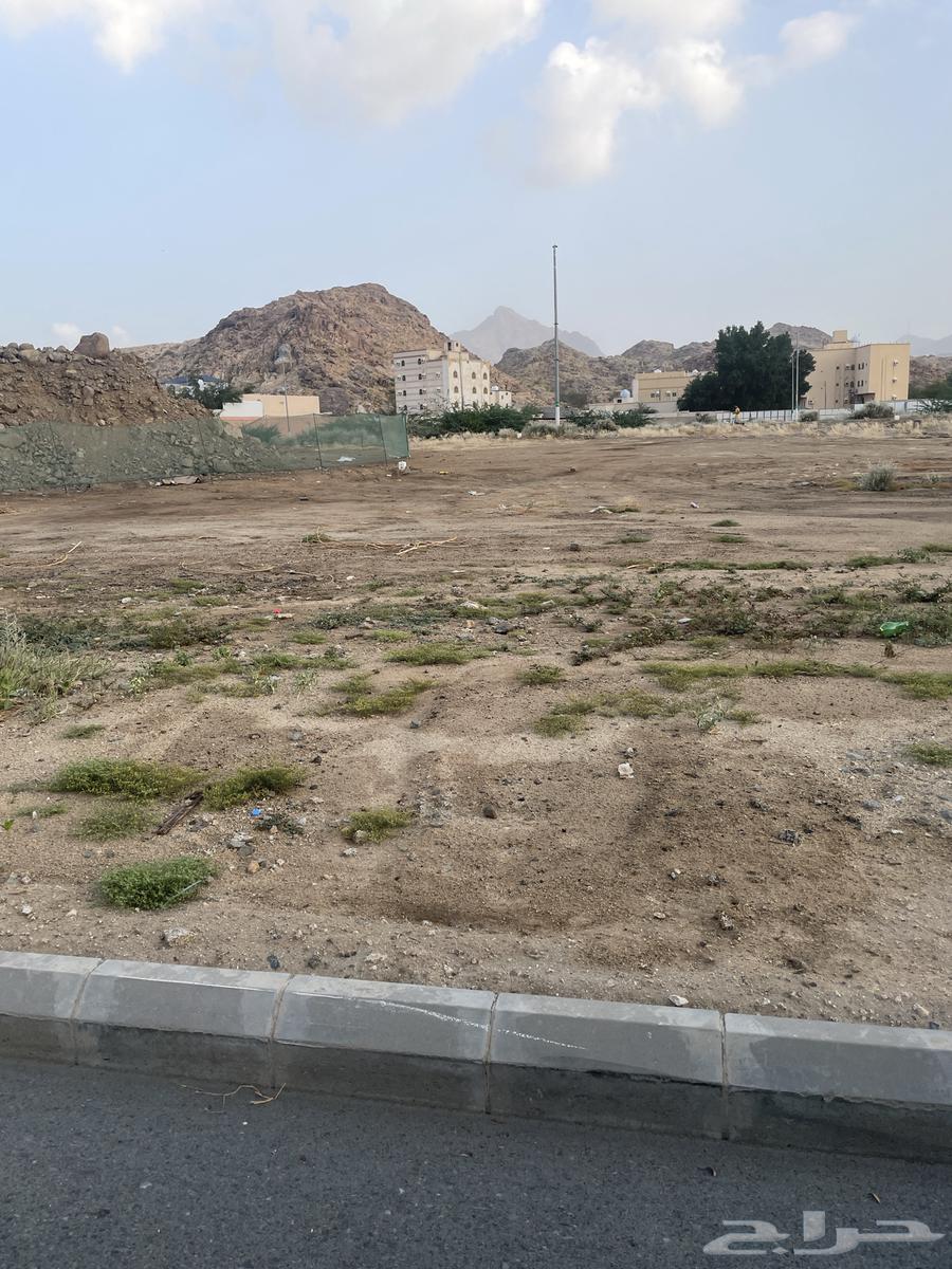 للاستثمار ارض في جوهرة المعيصم. بمكه630152106814751129