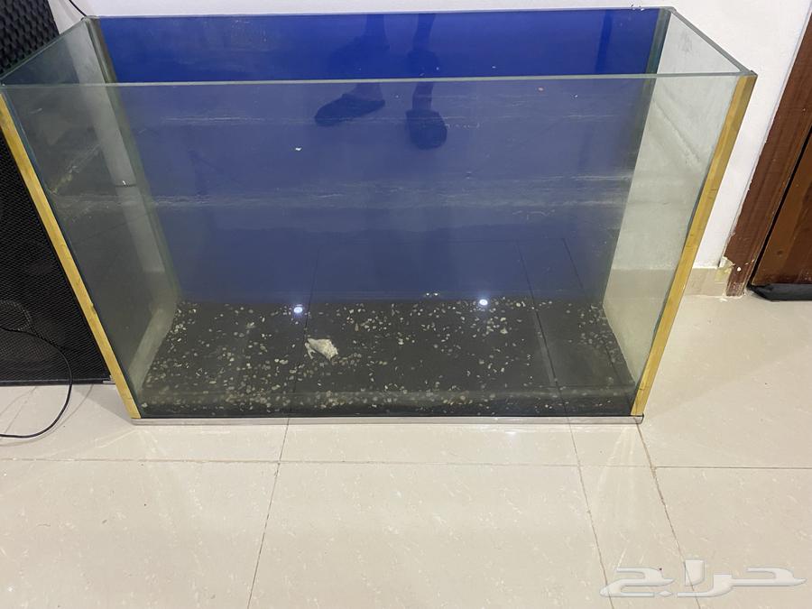 حوض سمك63175935572865111
