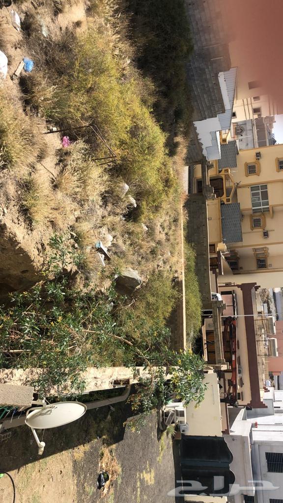 Land area of 450 only for 470 thousand behind Lafontaine Park63015671896321115