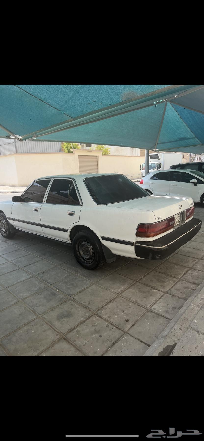 Cressida63266122506369110