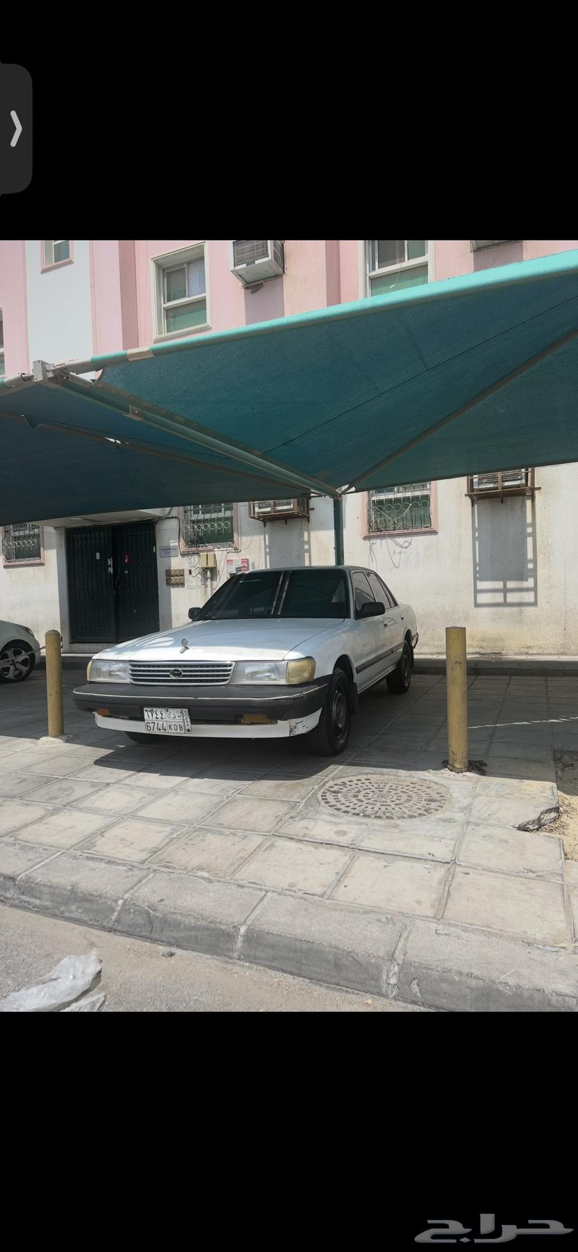 Cressida63266122506369111