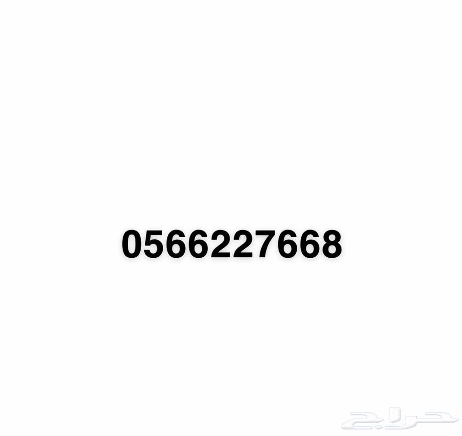 مصيدة قطط بساس63173611606658111