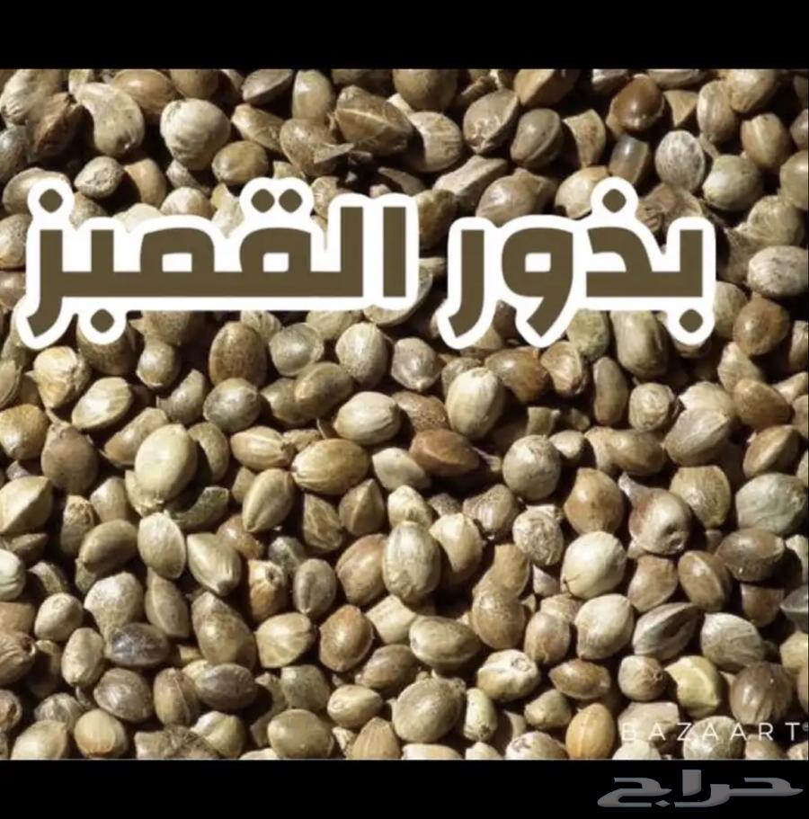 Hemp seeds631728688440341116