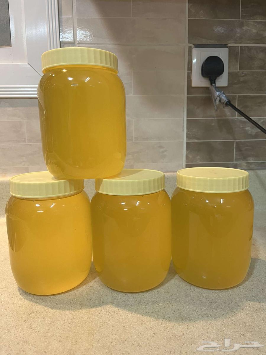 Sheep fat from Mangur region63174538570242112