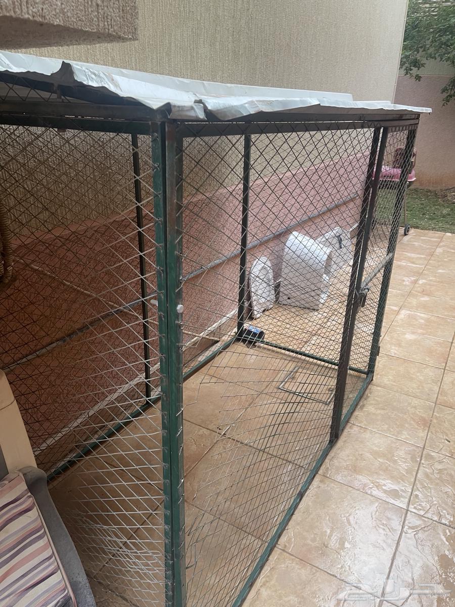 Animal network63173232950145111