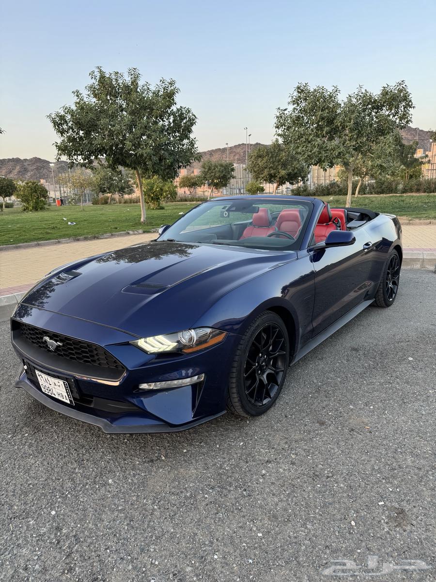 Mustang 2019 model sold63264147870082111