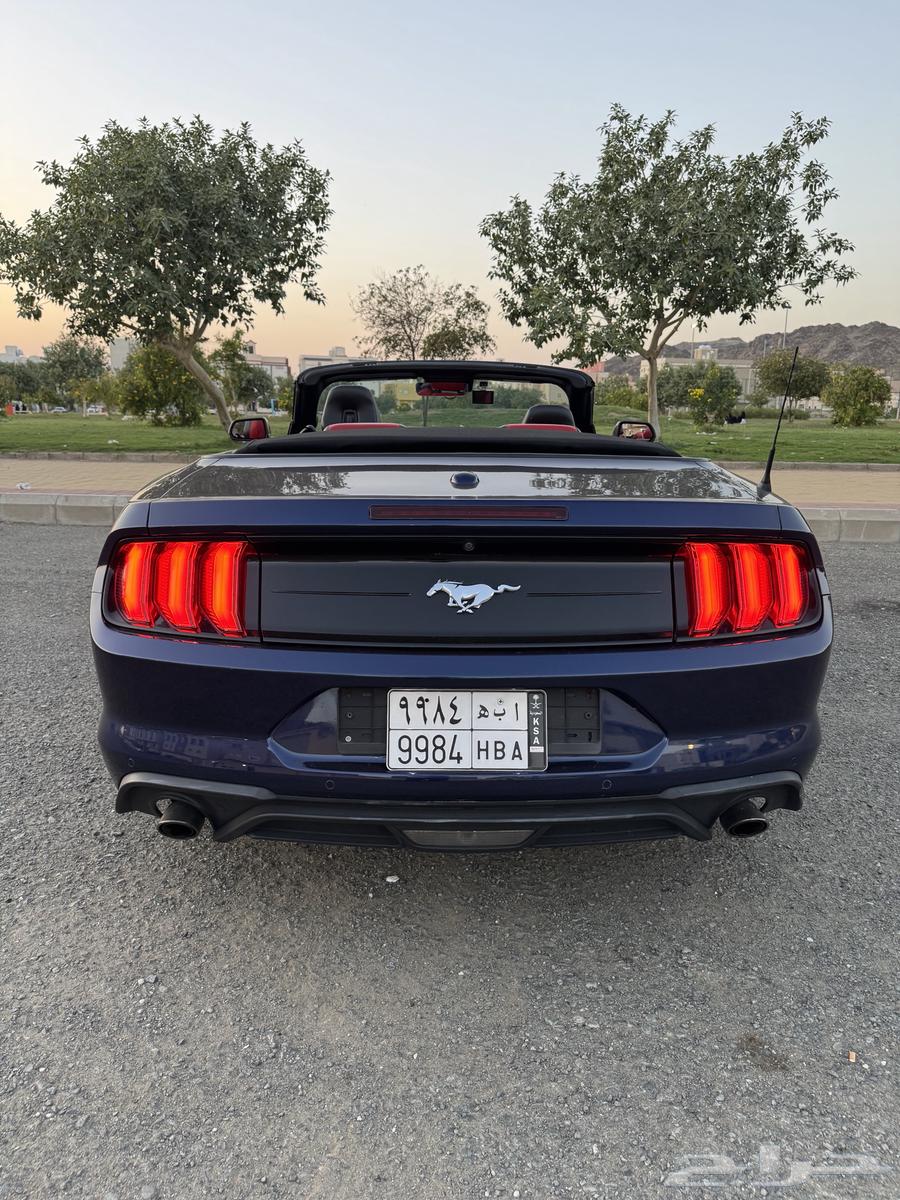 Mustang 2019 model sold63264147870082114