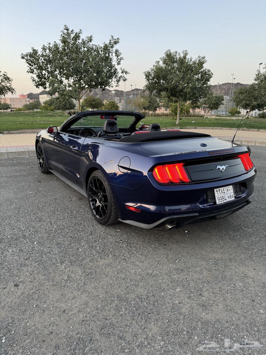 Mustang 2019 model sold63264147870082113