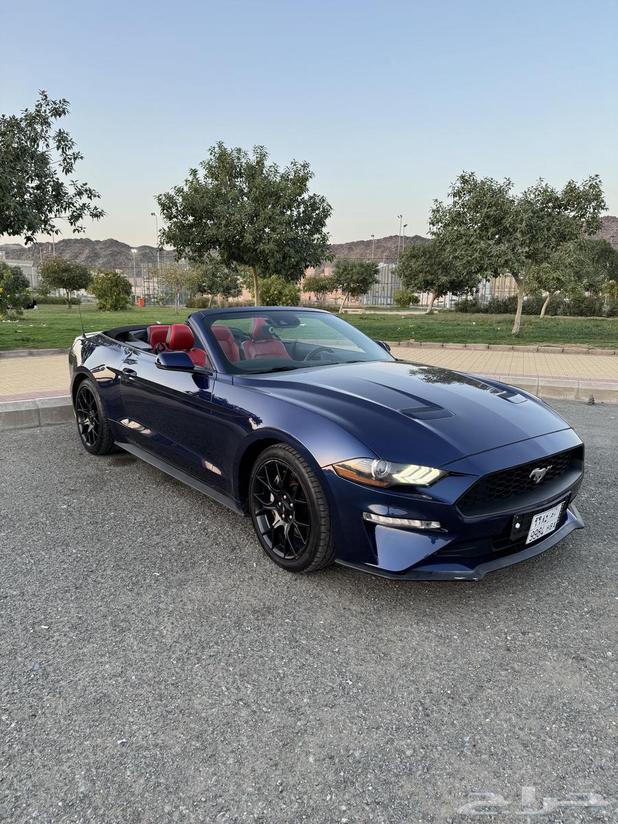 Mustang 2019 model sold63264147870082112