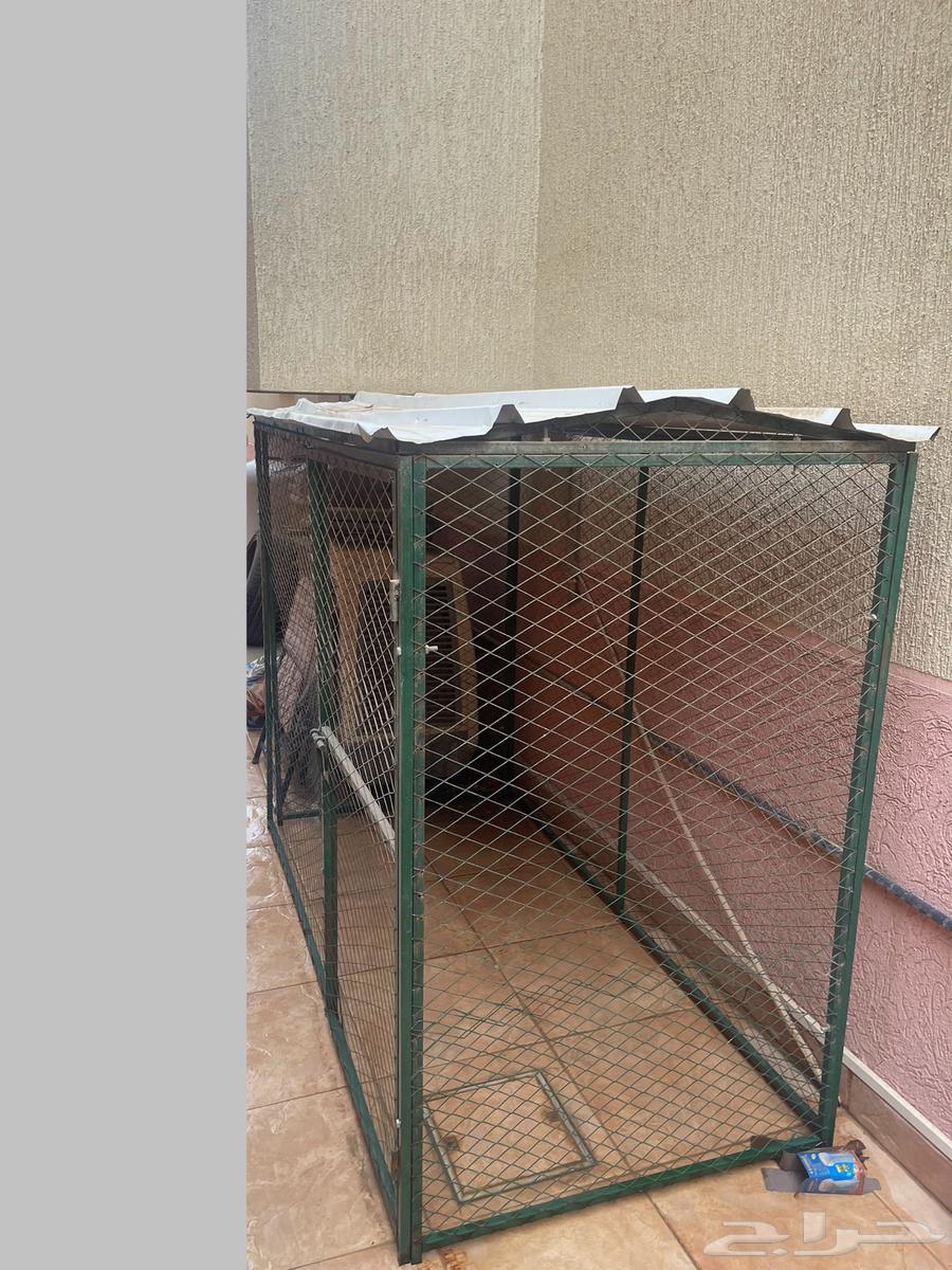 Animal network63173232950145113