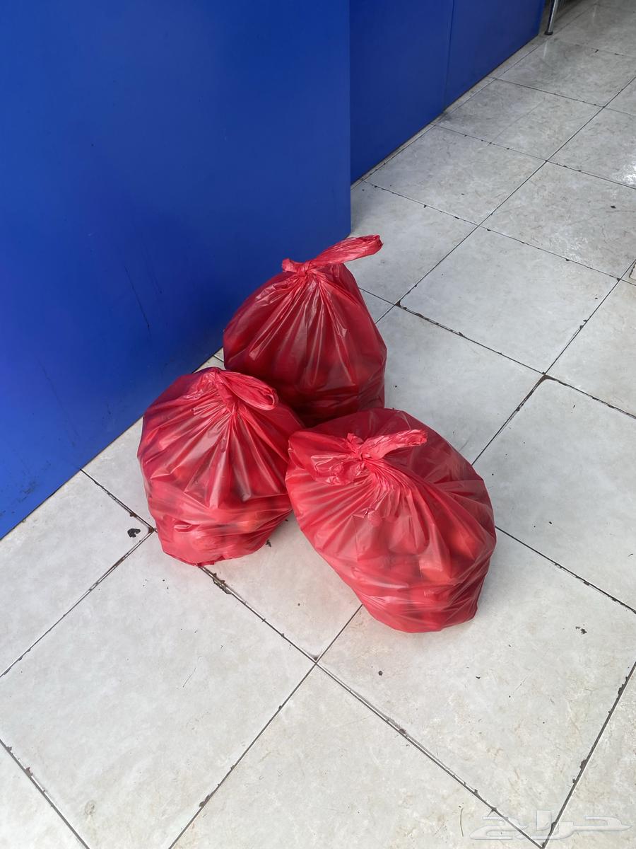 خضروات باقل من سعر السوق ماهو بحسد لهم لاكن ارزاق وتنافس (63174071841281112