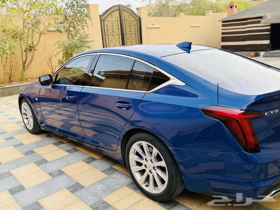 For sale Cadillac CT5 - Semi-luxury (Luxury) - 202063262984425857114