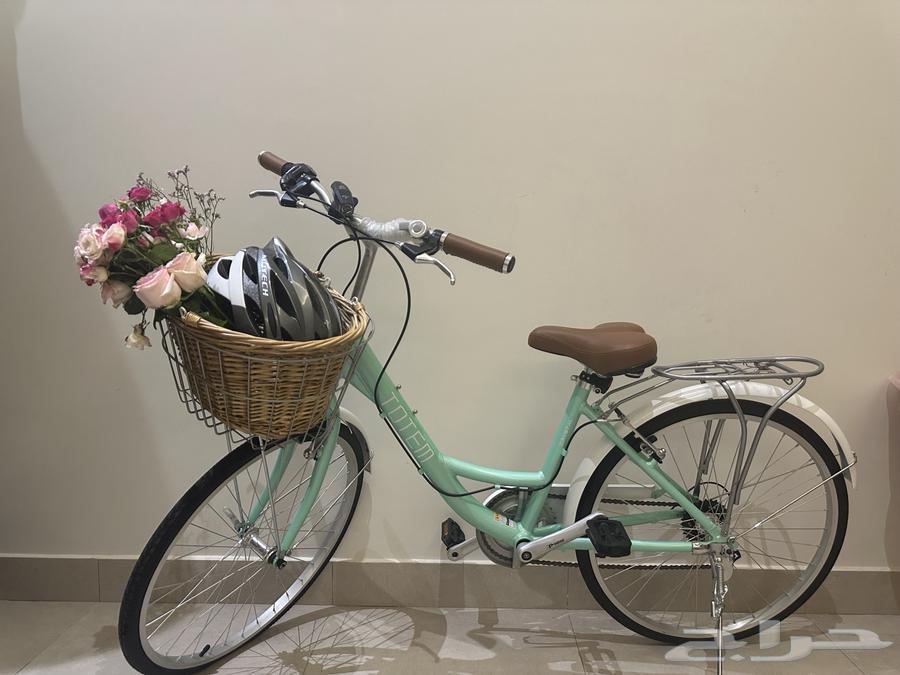Unique Totem Tiffany bicycle63009614021889111