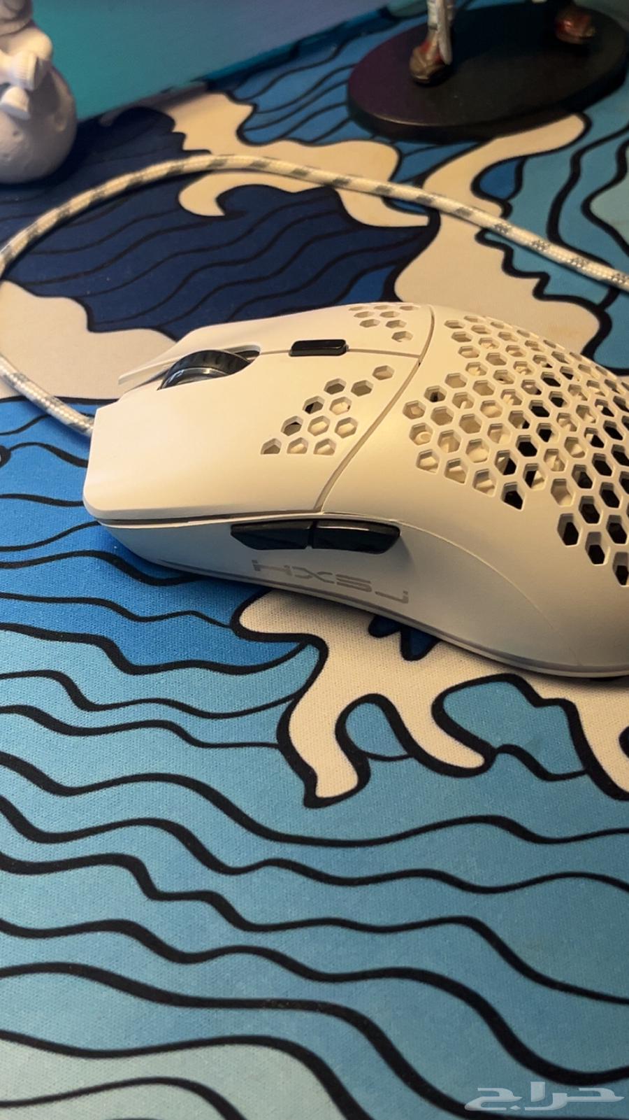 Mouse631724027937311125