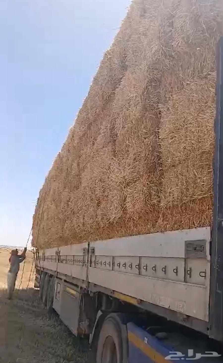 الدفع عند الاستلام63173615990147112