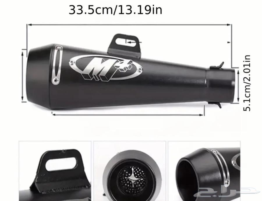 Bear m463253496729859119