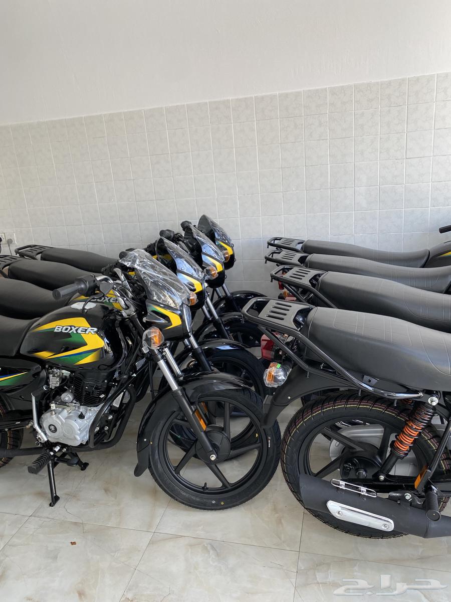 Dabab Boxer Indian 150 CC 202563257137141505112