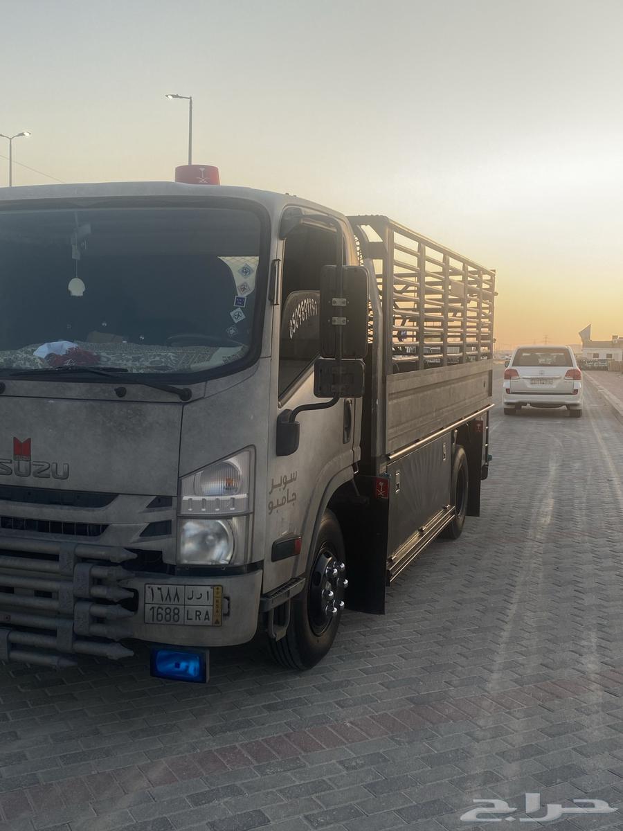 Move furniture dena dina dna630208750403861112