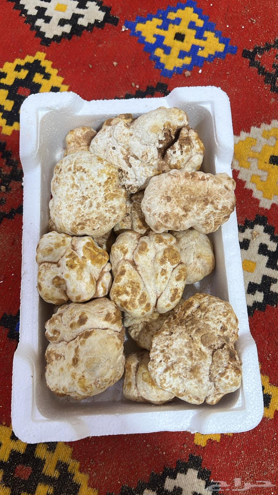 Faqi Zabidi631687309201931111