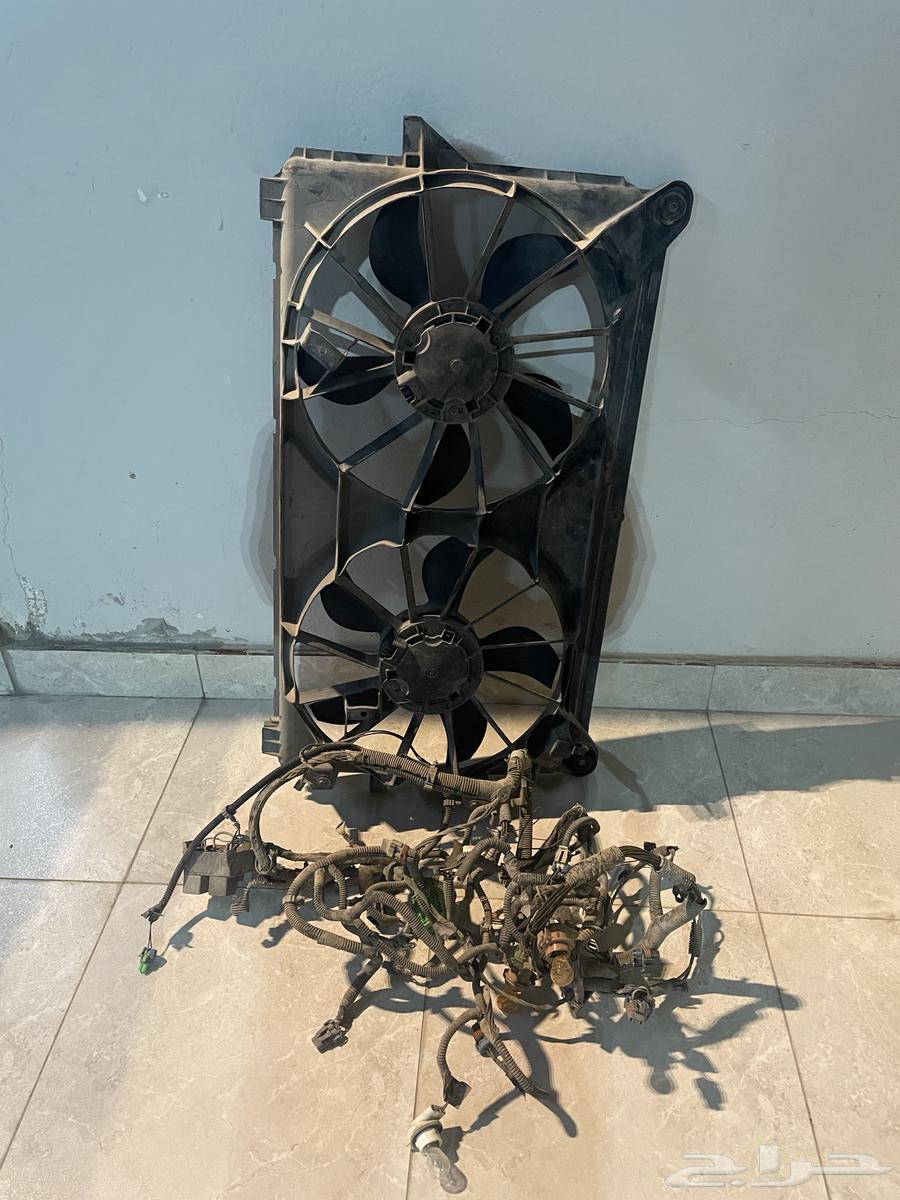 Electric fans for the gym632525021699861118