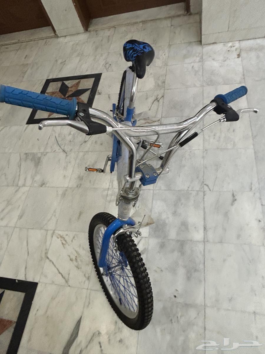 Cobra semi-mountain bike stored63009525507842111