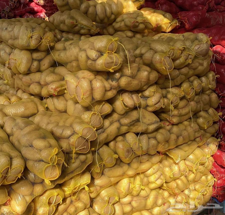 Fried potatoes for sale63167775408769111