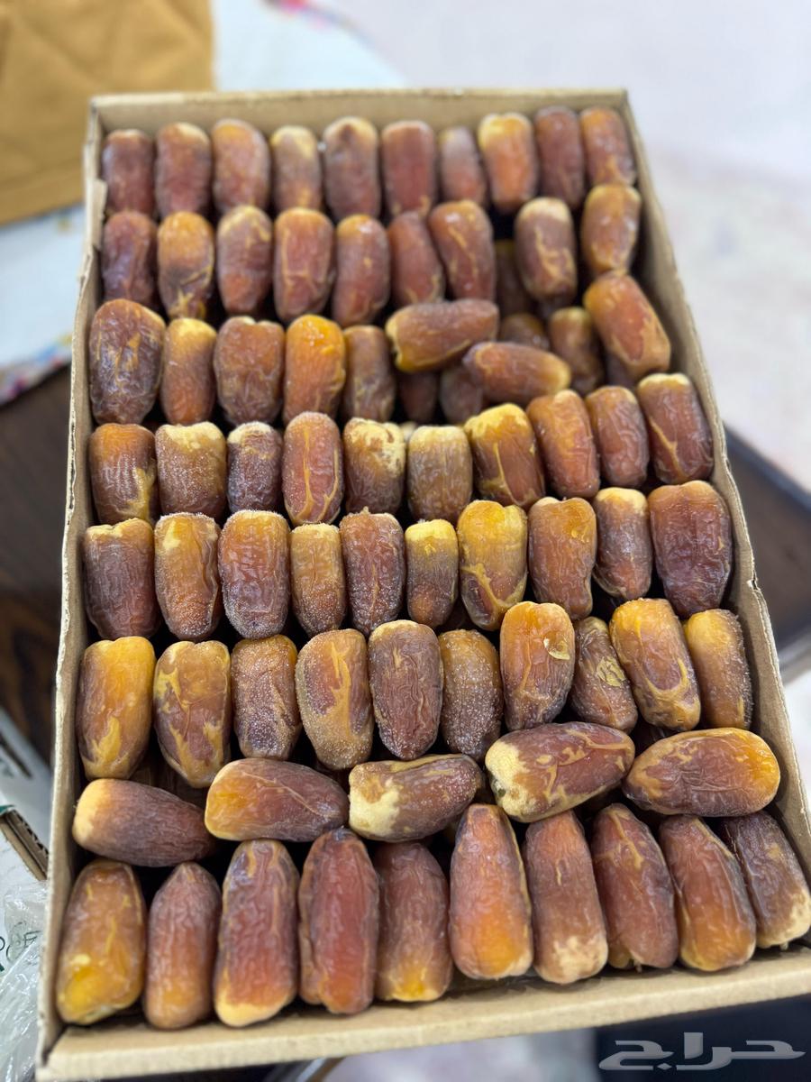 For sale: Sukari and Khudari dates from Al-Ghat63181986035586114