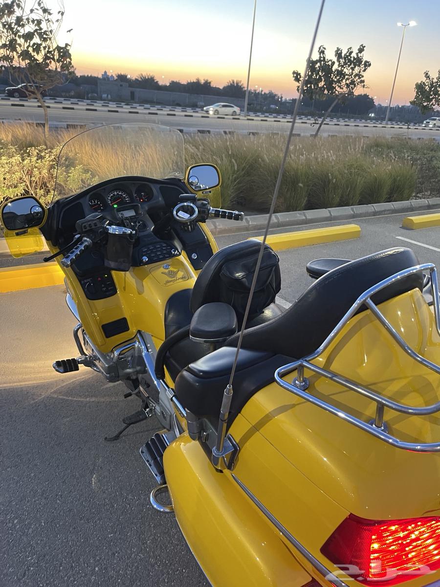 Goldwing63250846466690114