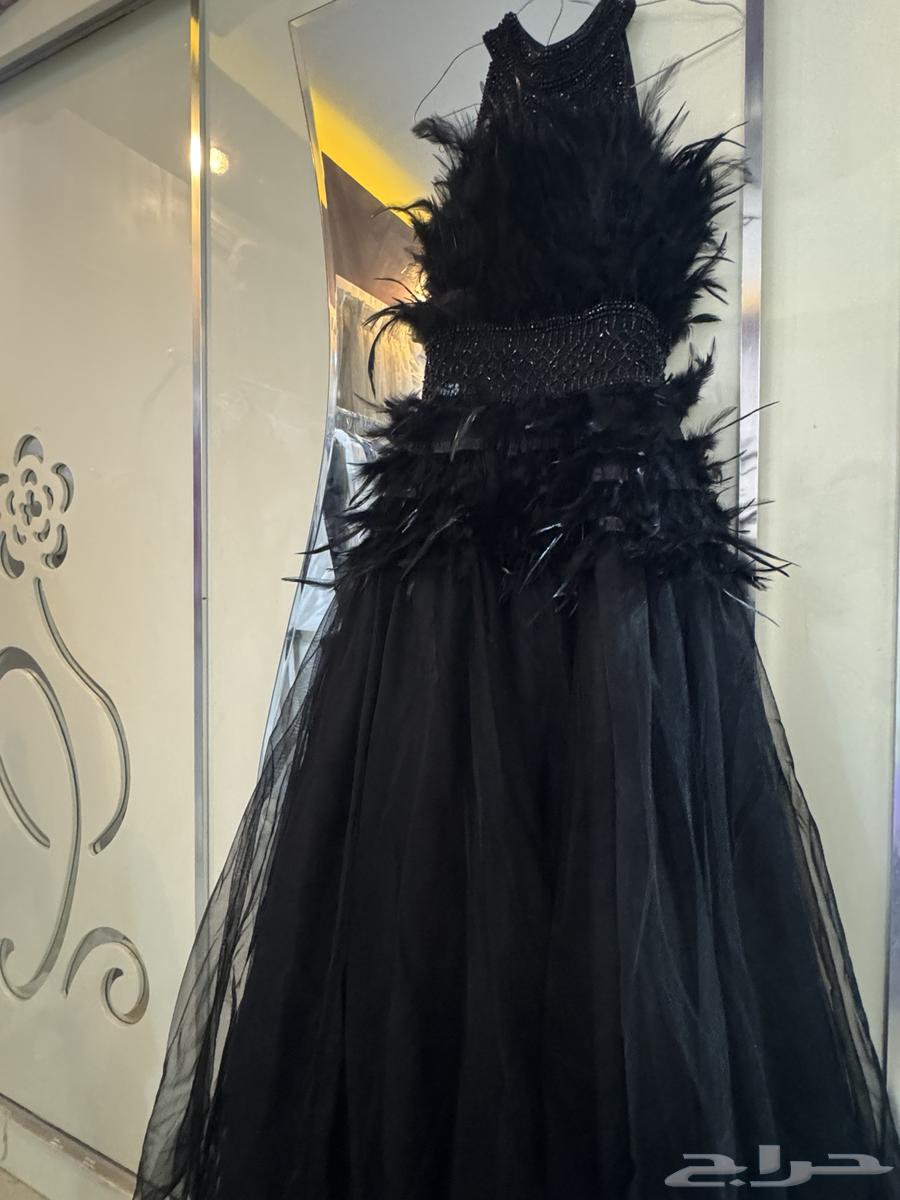 Luxurious dress63166859691779111