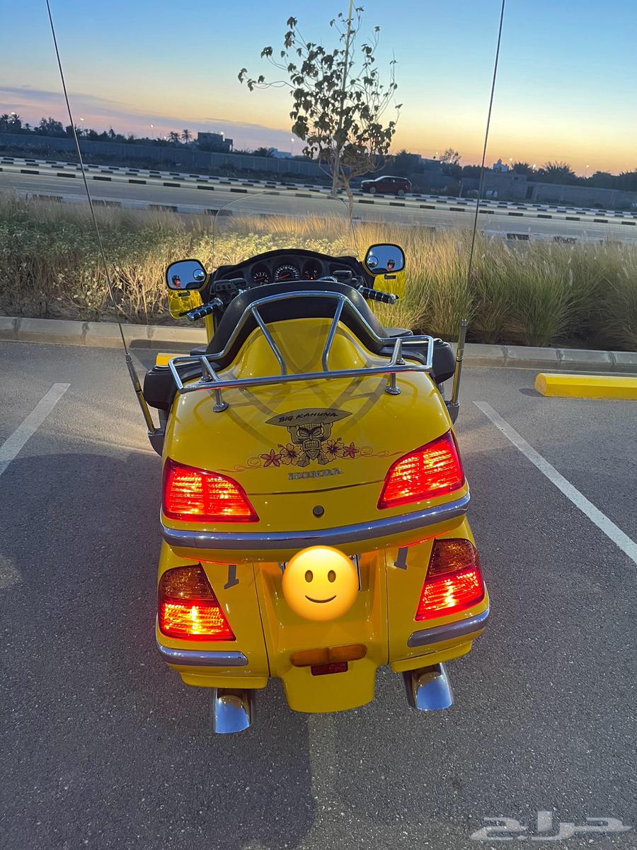 Goldwing63250846466690113