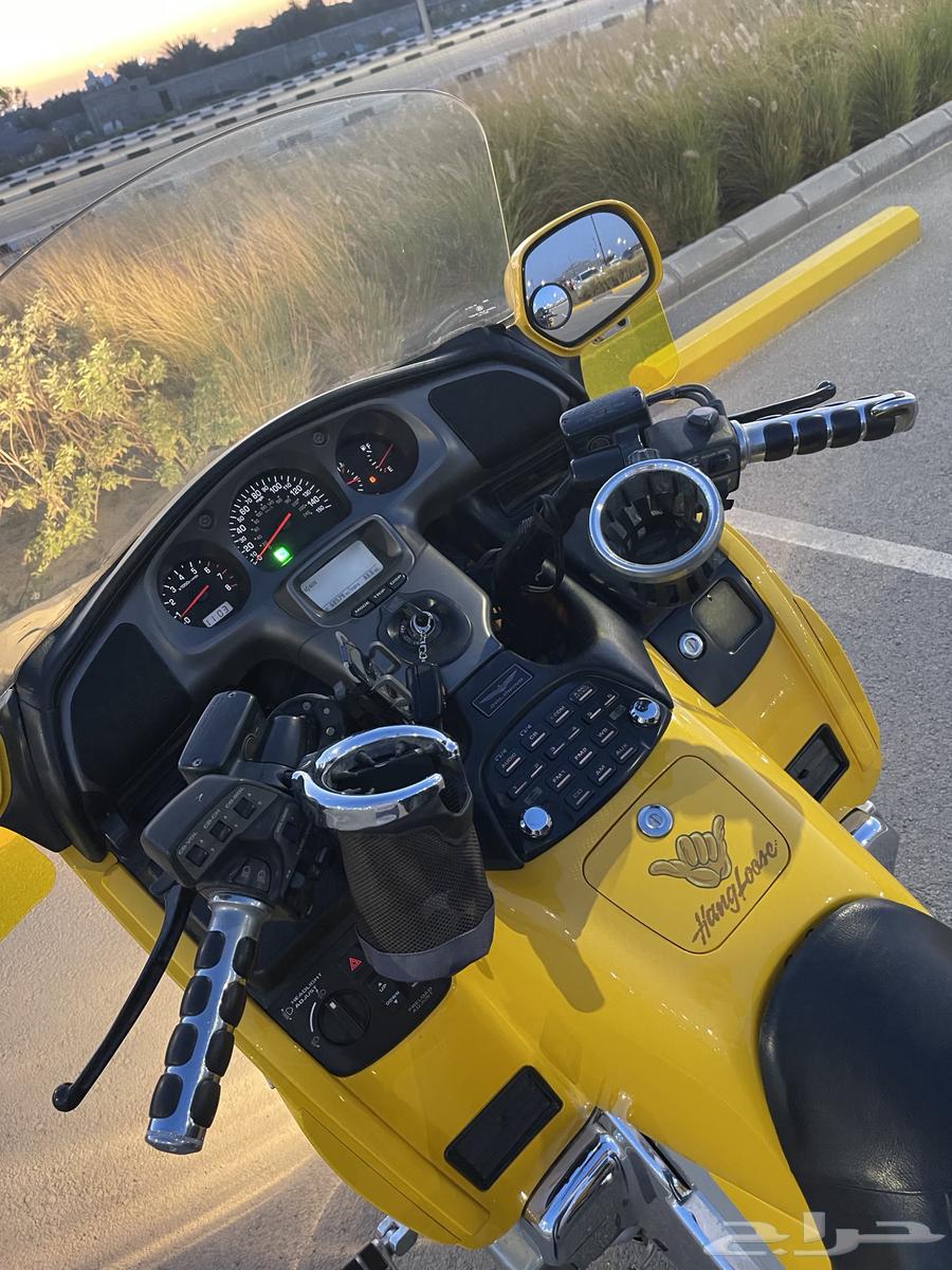Goldwing63250846466690112