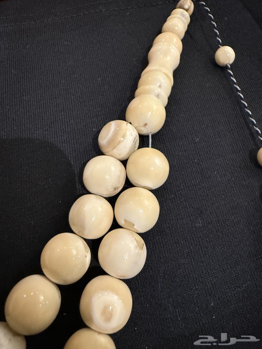 (Prayer beads, lion's tooth rosary (109 grams)63168267798786111