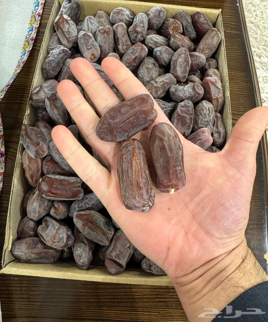 For sale: Sukari and Khudari dates from Al-Ghat63181986035586112