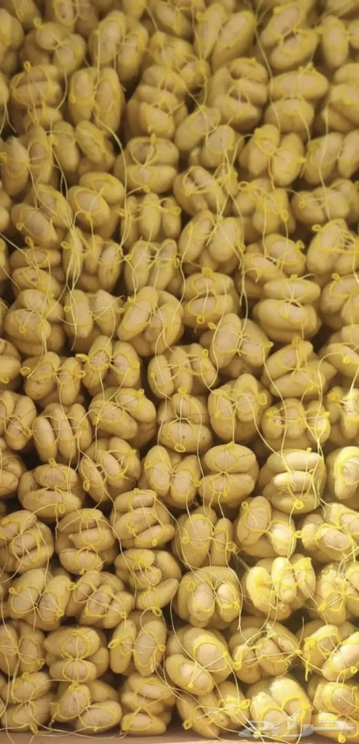 Fried potatoes for sale63167775408769112