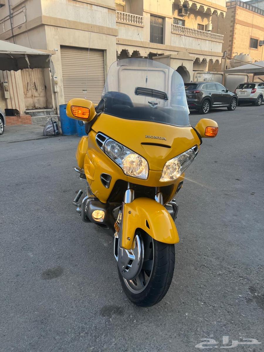 القطيف632492850888991126