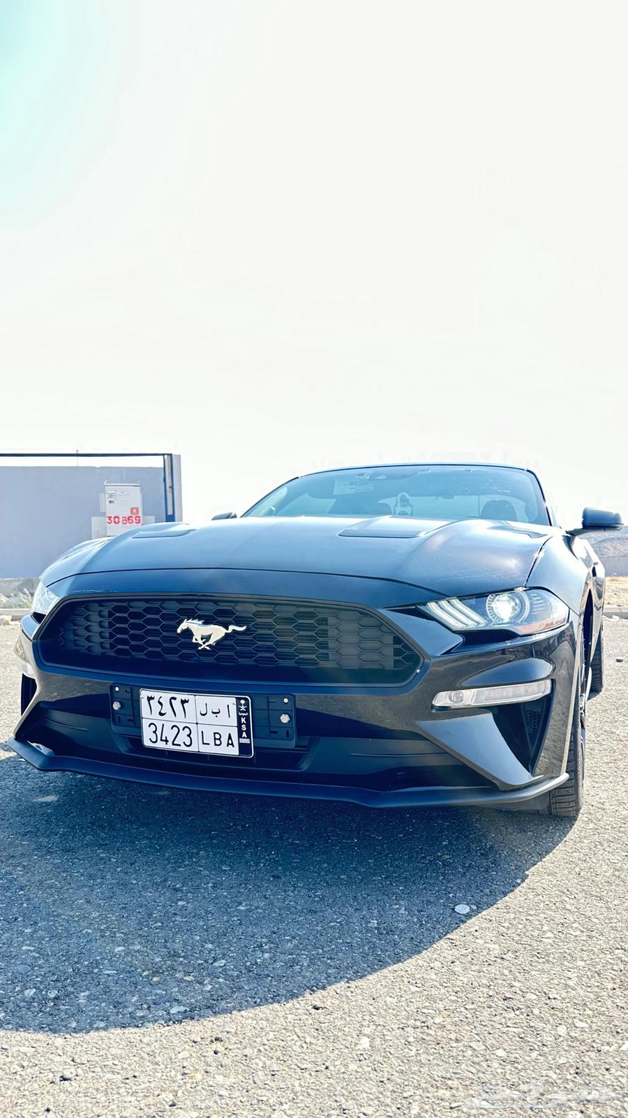 Mustang 2019 Sold63246265481090111