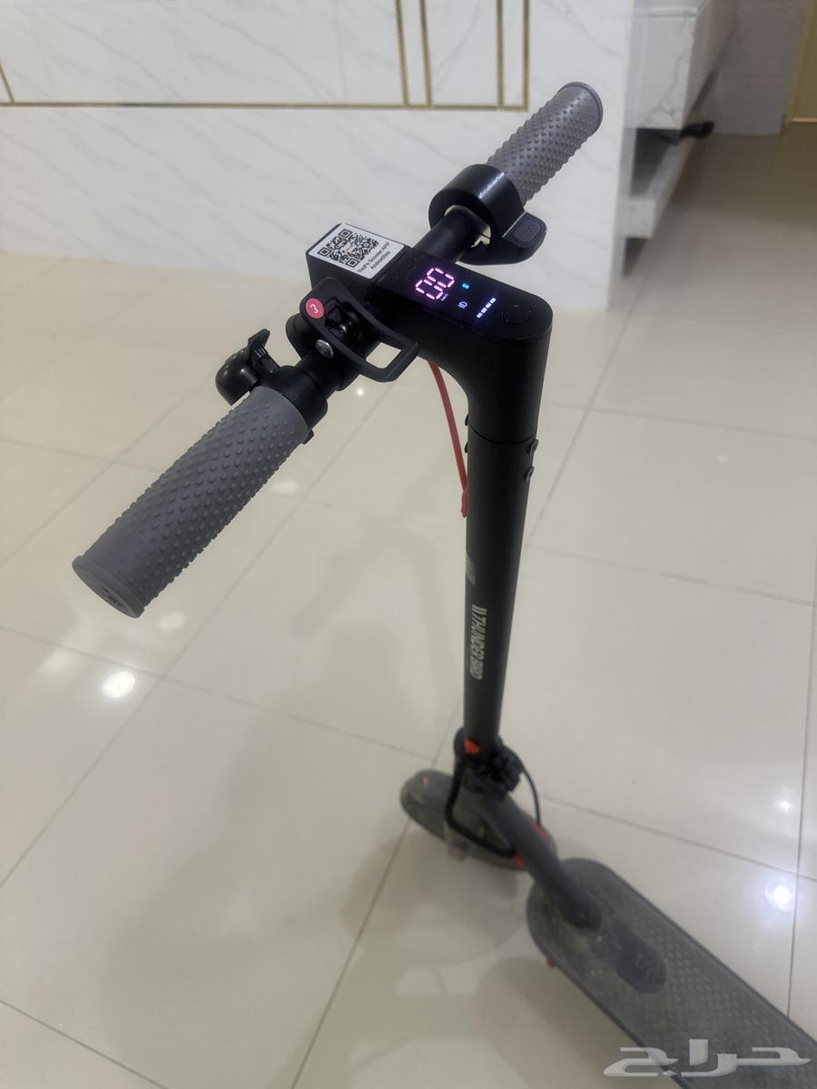 Standing scooter63165448531713112