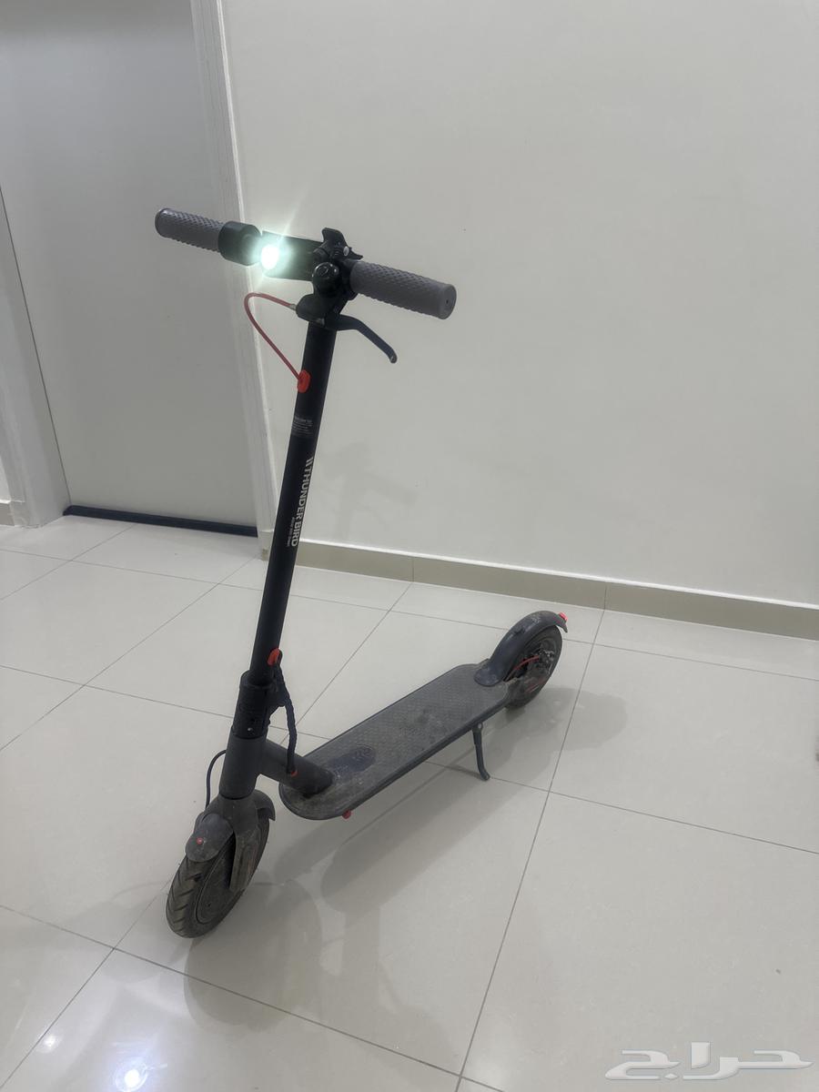 Standing scooter63165448531713111