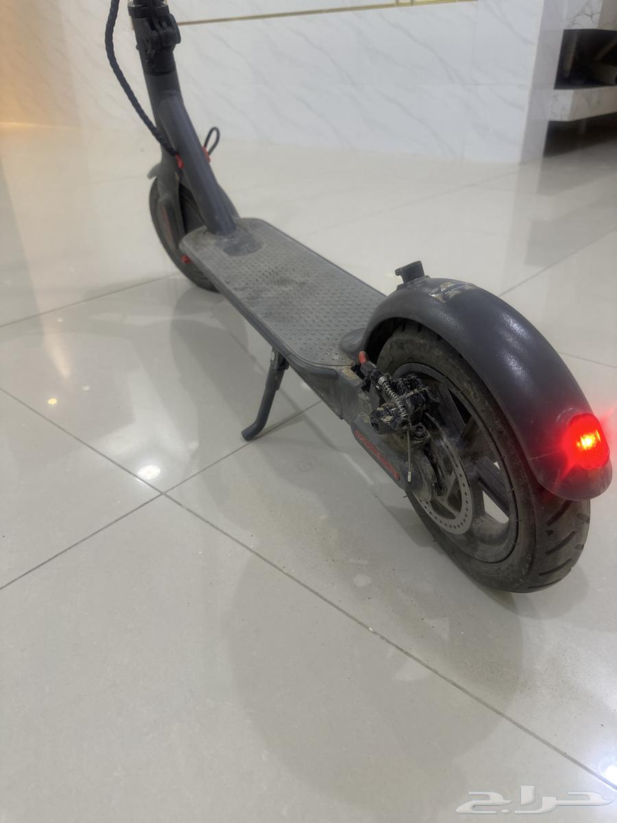 Standing scooter63165448531713113