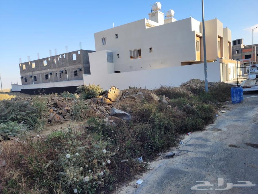 Land in Al-Ghadeer Al-Muhalah area, 625 square meters only for 750, located at ground level63006165905537113