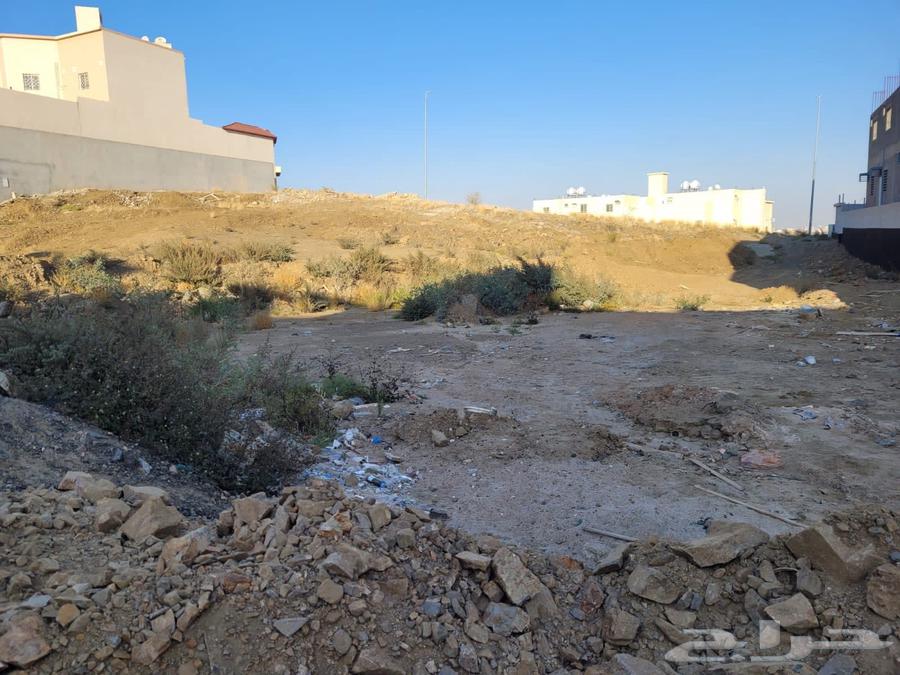Land in Al-Ghadeer Al-Muhalah area, 625 square meters only for 750, located at ground level63006165905537111