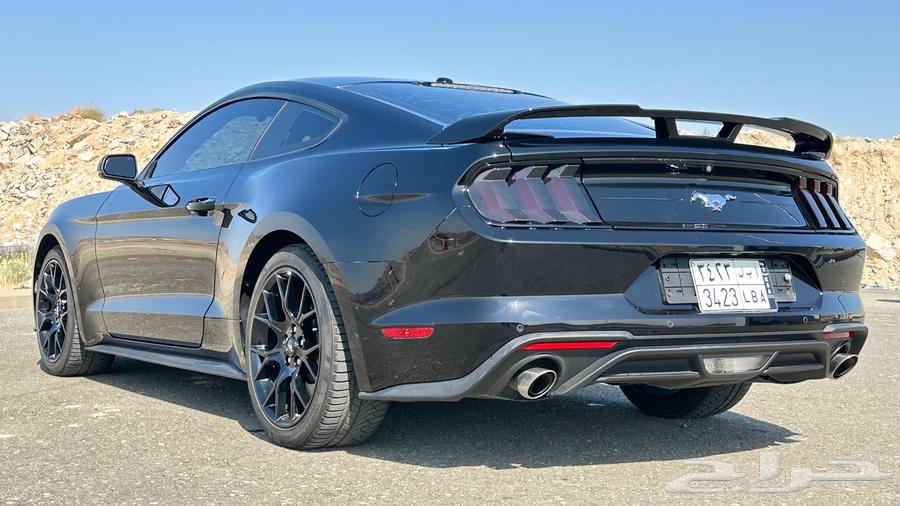 Mustang 2019 Sold63246265481090114