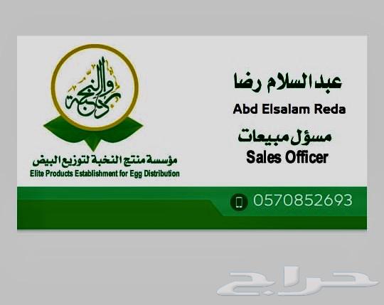 بيض واطني طازج63165924209666111