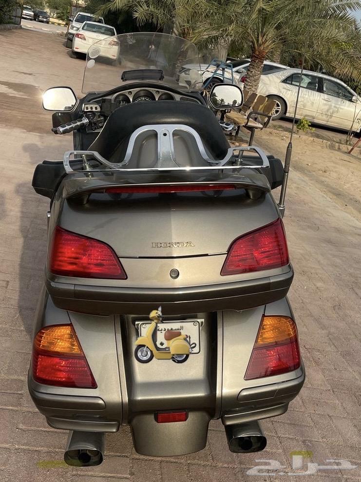 GOLDWING 200463244255762563113