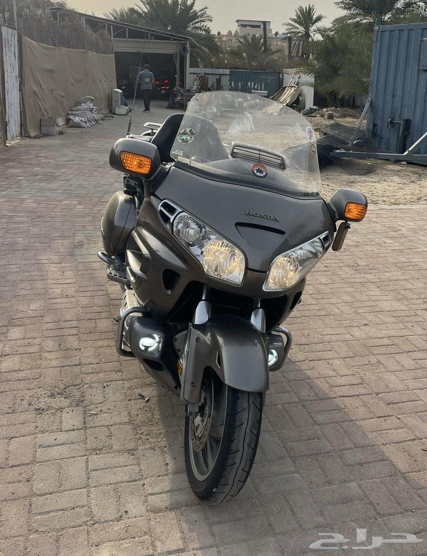 GOLDWING 200463244255762563112
