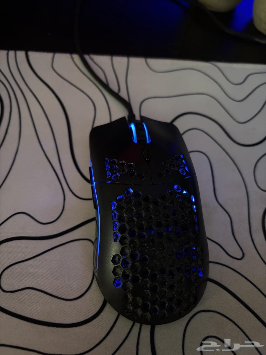 Gloris mouse63503675933569111