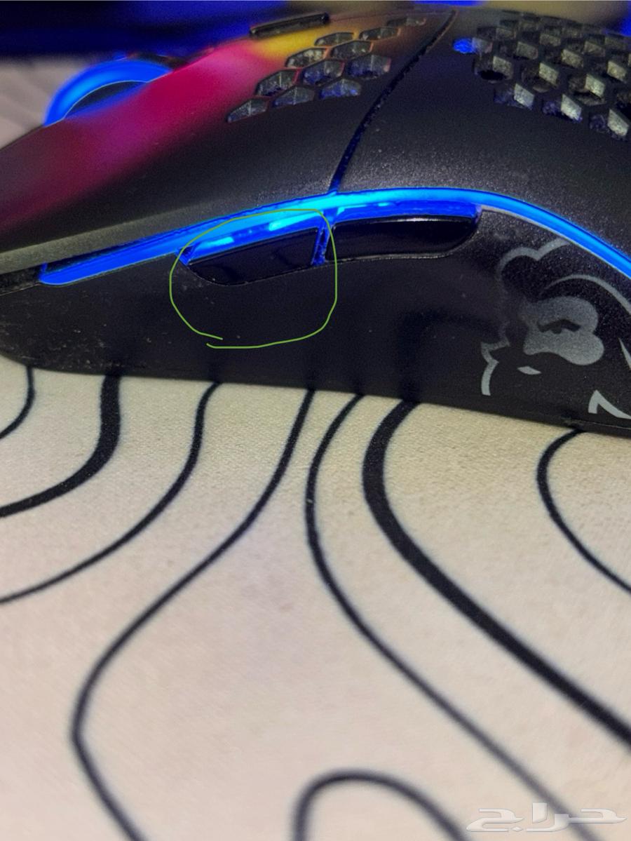 Gloris mouse63503675933569114