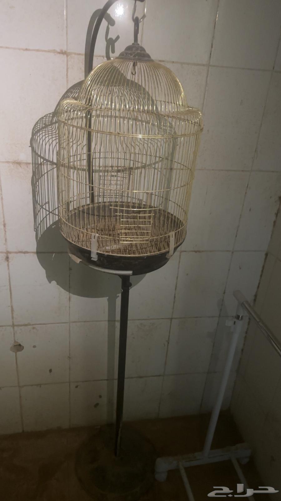 اقفاص للبيع631589988780821113